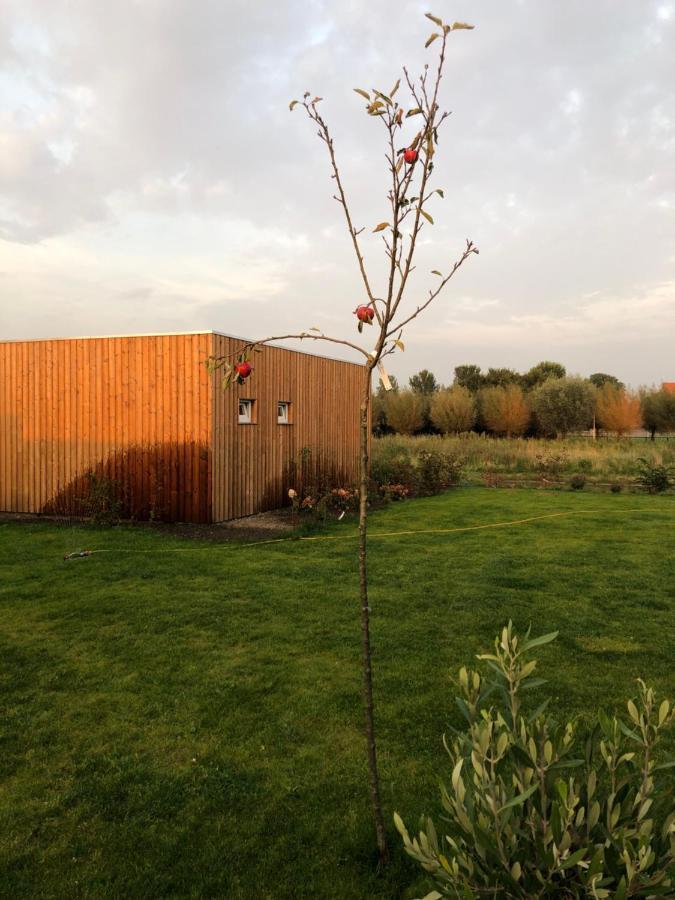 B&B Snurk Stiens, Fijn Verblijf Aan Open Vaarwater Esterno foto